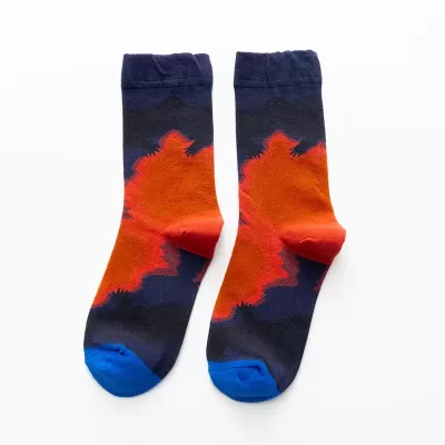 Artistic Feet: Van Gogh Inspired Combed Cotton Socks - Art colorful design 4