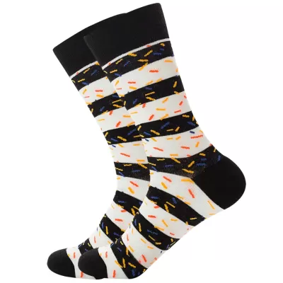 Rainbow Zebraland Striped Fun Socks in Colorful Safari