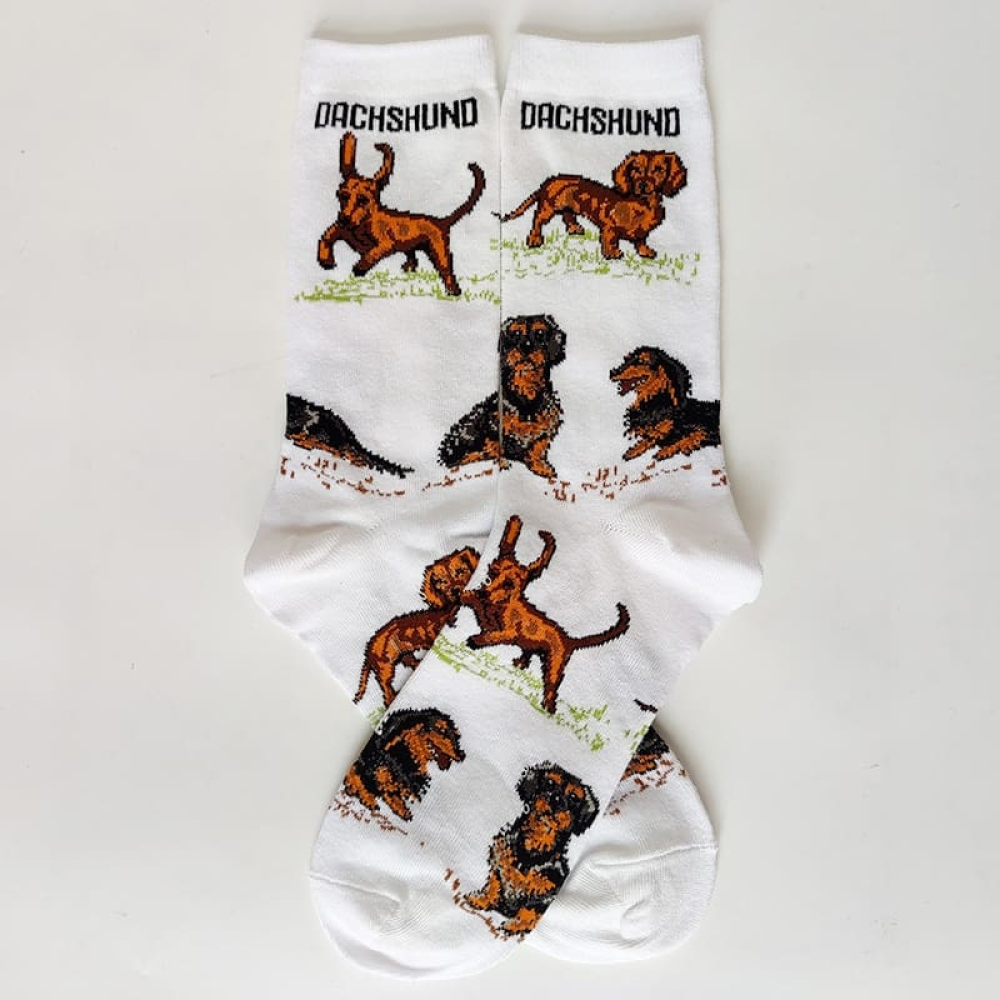 Dachshunds Second Stroll Green Striped Socks Collection
