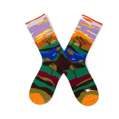 Artistic Feet: Van Gogh Inspired Combed Cotton Socks - Art colorful design 20
