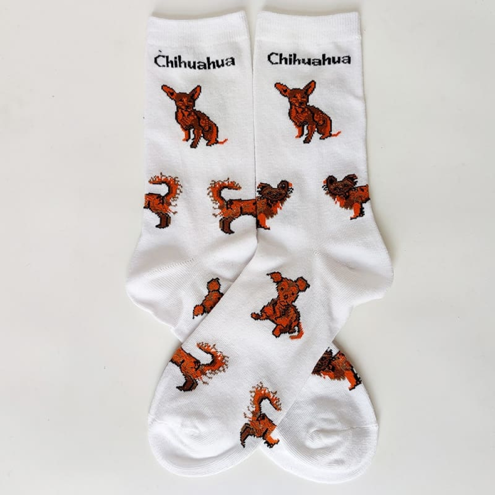 Teal Blue Chihuahua Charm Socks in Teal Blue