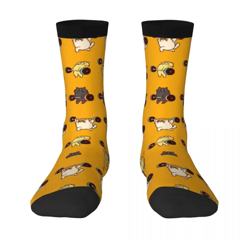 Lifting Cat Gym Socks - Breathable, Variation 4