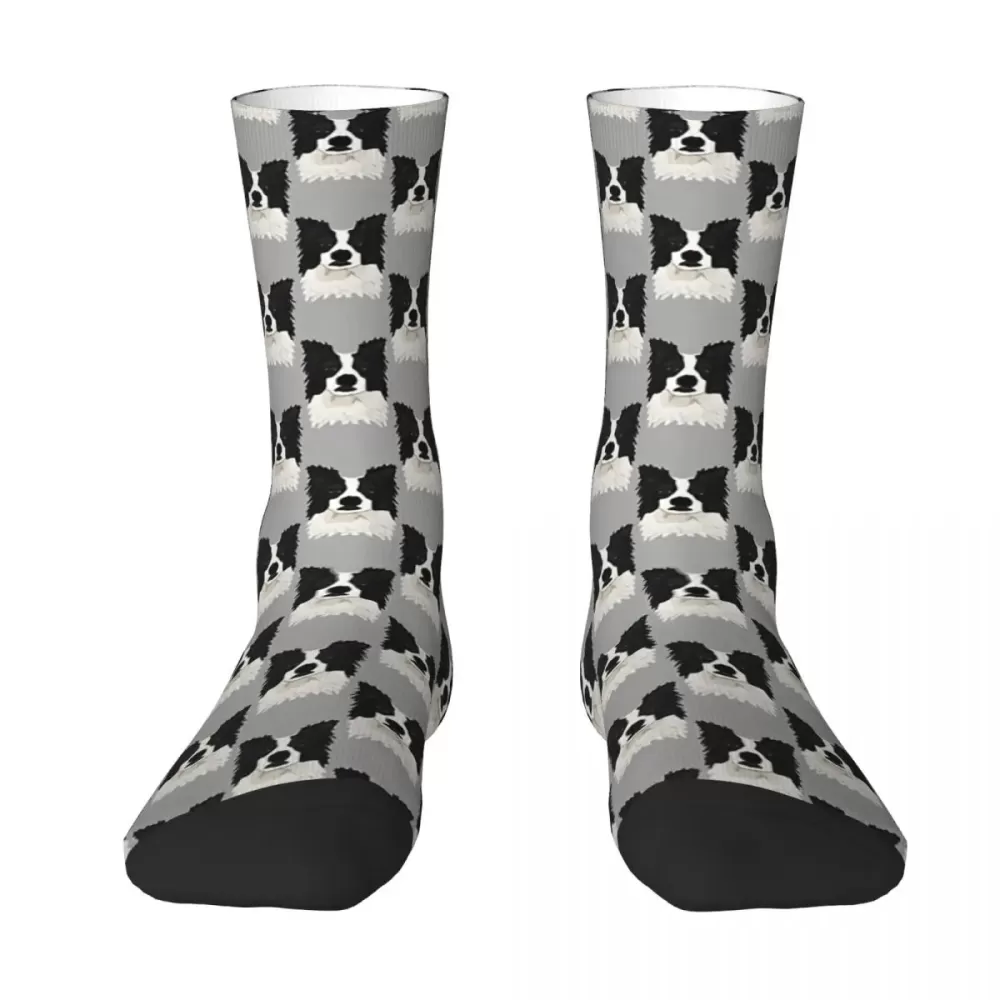 Poker Face Border Collie Socks - Novelty, Unisex