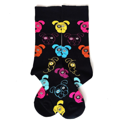Rainbow Puppy Palette Spectrum Style Socks Collection
