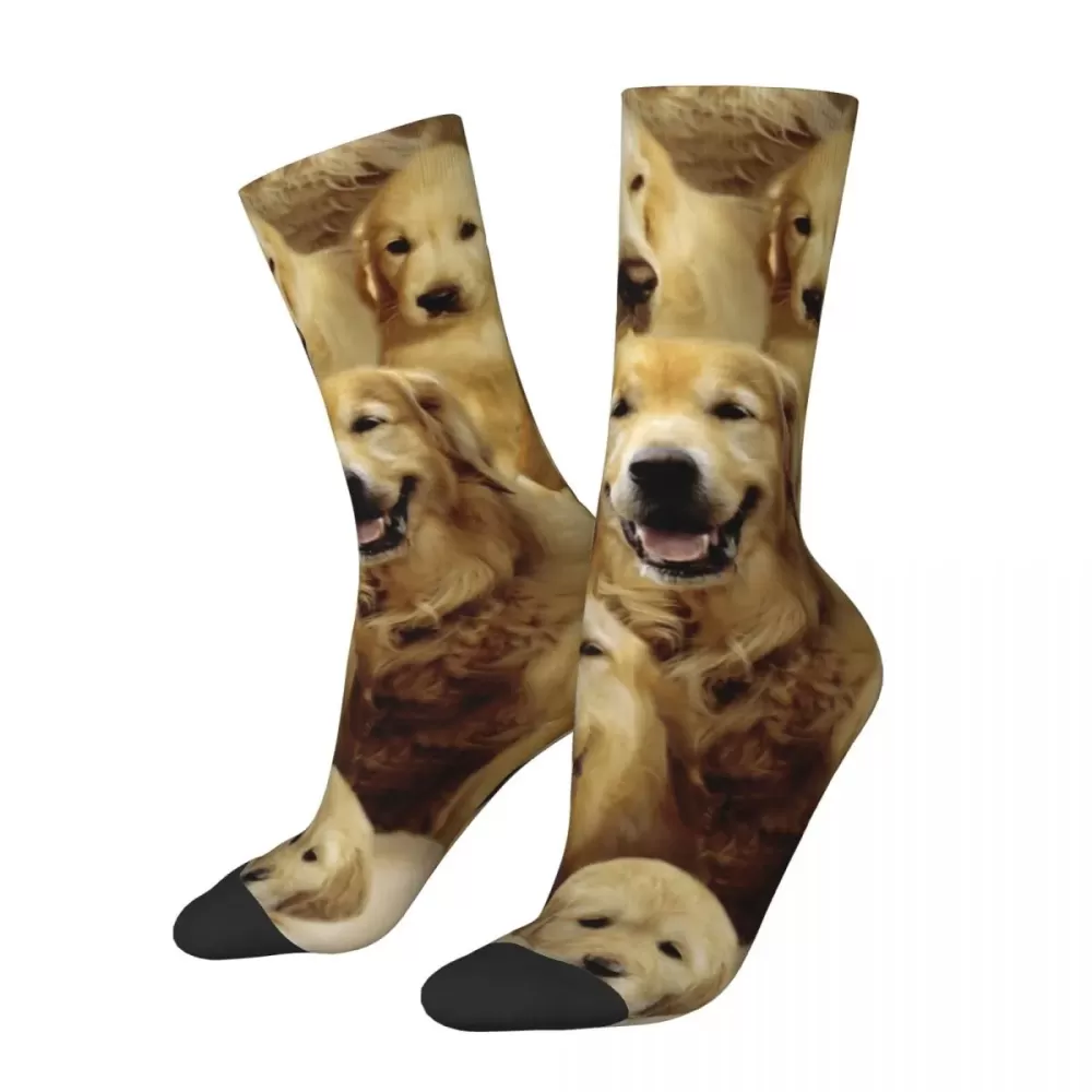 Golden Retrievers Cute Socks - Harajuku, Unisex