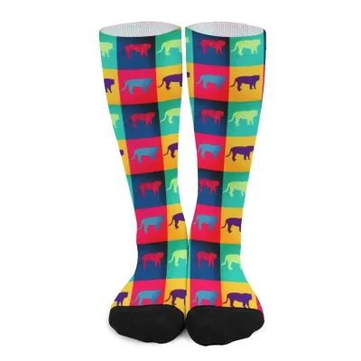 Multicolored Cat Socks