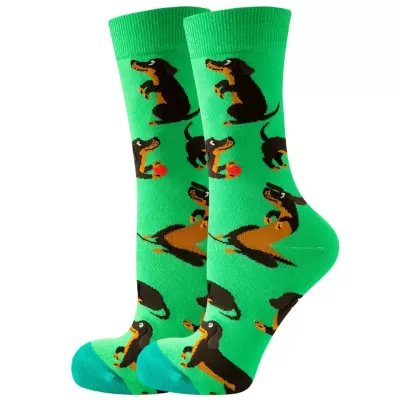 Dachshund Dog Socks - Colorful